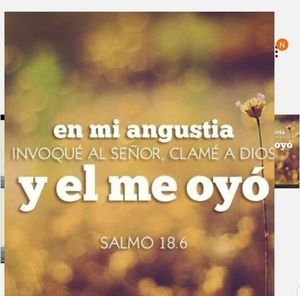 Meet your Posher, Eneida